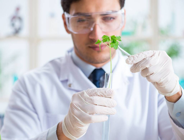 Bioquímico masculino trabajando en el laboratorio de plantas - Foto, Imagen