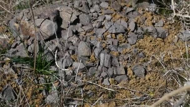fragmentação de rochas, rachaduras e desmoronamentos de rochas na natureza
, - Filmagem, Vídeo
