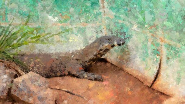 Digital artistry illustration - abstract watercolor painting of an Australian Gould's goanna. - Photo, Image