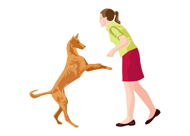 Jeune femme jouant avec le chien Ibizan Hound dans le parc. L'amitié humaine et canine. Illustration vectorielle sur fond blanc
 - Vecteur, image