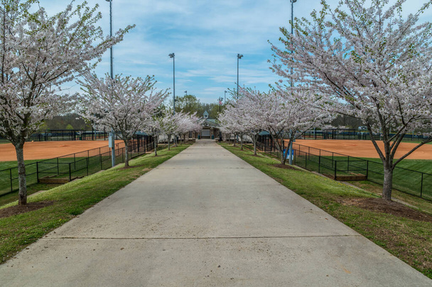 Bloqueado campos de pelota en un parque que por lo general están llenos de jugadores a principios de primavera cerrado debido a las restricciones pandémicas Coronavirus
 - Foto, imagen