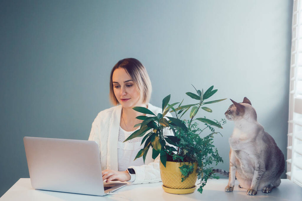 ラップトップコンピュータで働いている白人のビジネス女性。フリーランスは自宅のオフィスからインターネットでリモートで働いています。テーブルの上の家庭内の動物猫ペット。フリーランス、隔離と自己分離.  - 写真・画像