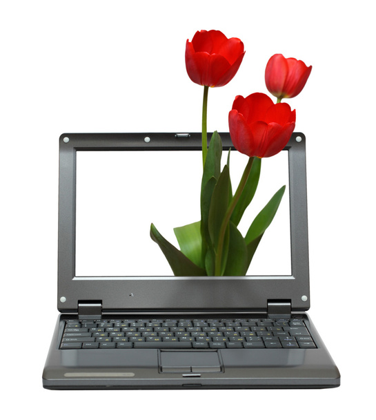 Laptop with tulips bouquet - Foto, Imagen