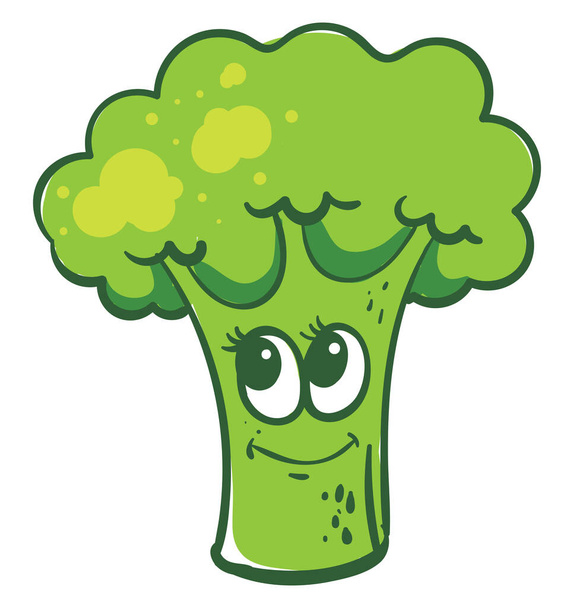 Groene broccoli, illustratie, vector op witte achtergrond - Vector, afbeelding