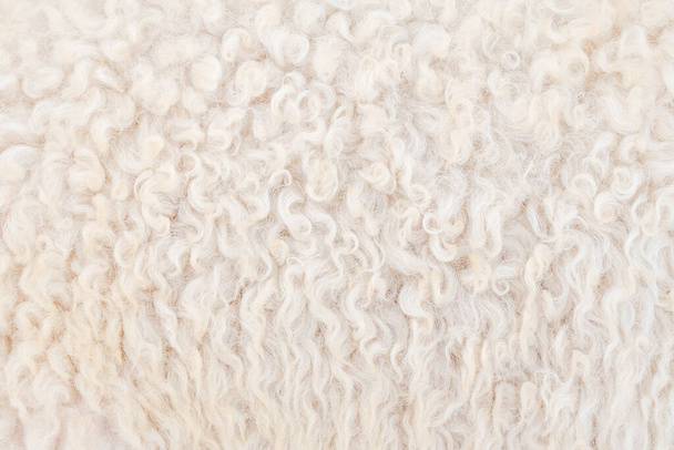 Natural fiber thermal fur wool texture background from sheep with white bright color tone. Backdrop for design art work or text message. - Photo, Image