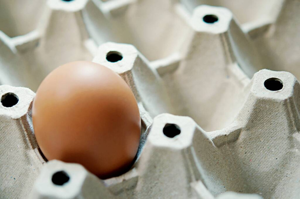 Un huevo en bandeja de papel, mira sintiéndote solo, concepto solitario
.  - Foto, imagen