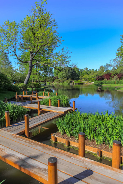 Desková procházka v botanické zahradě Saint Louis - Fotografie, Obrázek
