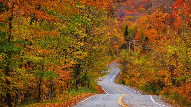 Malownicza jesienna przejażdżka na wsi Quebec - Zdjęcie, obraz