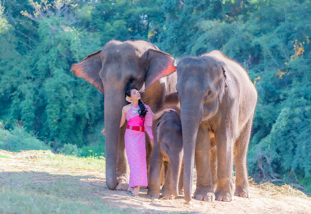 Όμορφες γυναίκες που φορούν παραδοσιακά ταϊλανδέζικα ρούχα στέκονται πάνω σε έναν ελέφαντα στο φυσικό πάρκο της Ταϊλάνδης, έννοια της γυναίκας. - Φωτογραφία, εικόνα