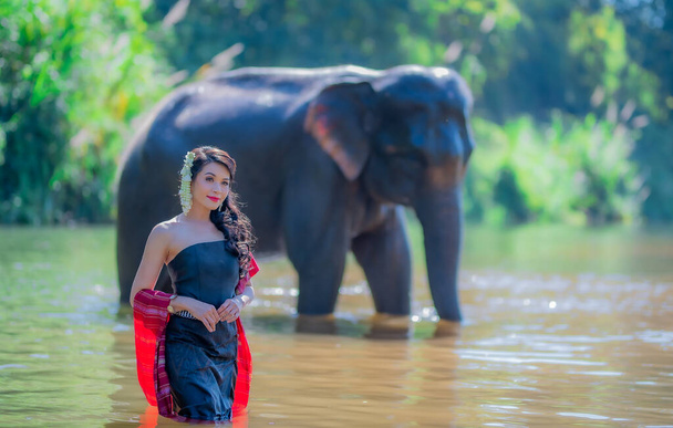 Beautiful thai women wearing traditional thai clothes standing on an elephant in nature park thailand, woman concept. - Photo, Image