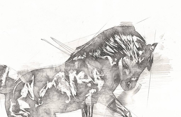 freehand horse head pencil drawing - 写真・画像