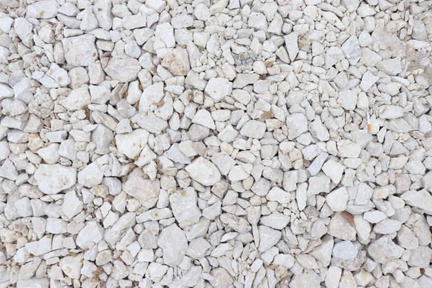άσπρες πέτρες στην παραλία μια ηλιόλουστη μέρα, φόντο από άσπρες πέτρες - Φωτογραφία, εικόνα