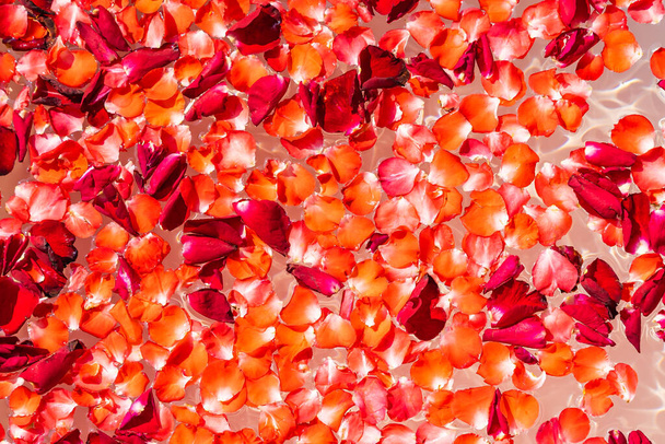 Flor de rosa vermelha na água na decoração da banheira interior para tomar um banho e relaxar
 - Foto, Imagem