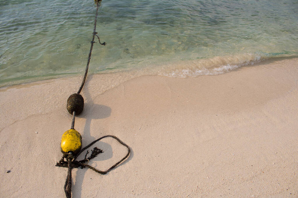 Close-up Boe gialle con corda sulla spiaggia
 - Foto, immagini