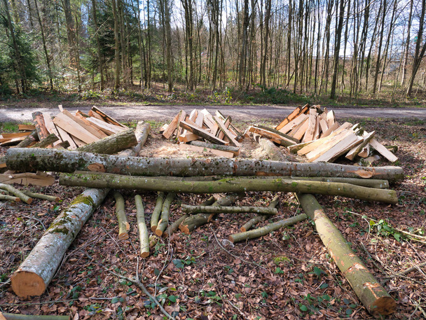 Деревья обработанные и вырубленные в бревна лежат в куче рядом с тропинкой в лесу
. - Фото, изображение