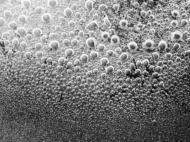 Borroso abstracto. Burbujas de vapor en la superficie inferior de la sartén con agua hirviendo Fondo borroso
 - Foto, Imagen