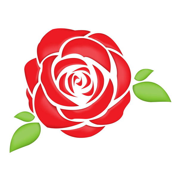 Rose und Blätter Isoliert auf weißem Hintergrund - Vektor, Bild