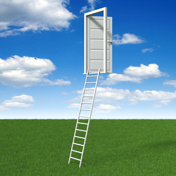 Door and ladder concept - 3D illustration - Foto, immagini