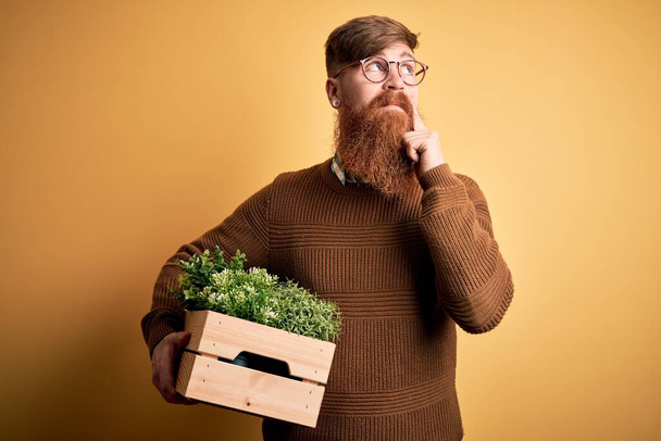 Κοκκινομάλλης Ιρλανδός με γένια που κρατάει ξύλινο κουτί με φρέσκα φυτά πάνω από κίτρινο φόντο σοβαρό πρόσωπο που σκέφτεται την ερώτηση, πολύ μπερδεμένη ιδέα - Φωτογραφία, εικόνα