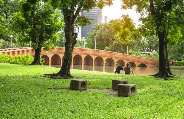 Fresh green carpet grass yard, smooth lawn under green trees in beautiful garden and good care landscaping in the public park, a couple sitting by the orange concrete arch curve brige and lake, big building on background - Photo, Image