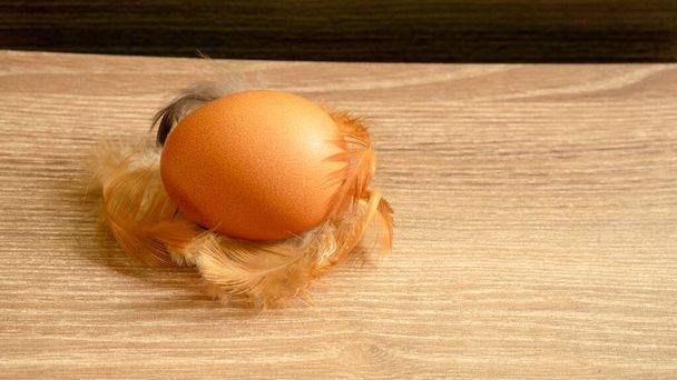 Uma galinha marrom ovos e penas de frango na mesa de madeira, close-up foto e espaço de cópia
 - Foto, Imagem