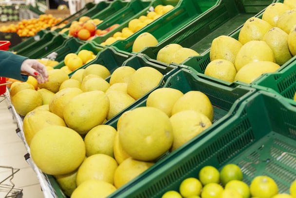 Appetizing pomelo on a counter in a supermarket. Close-up. - Foto, Bild
