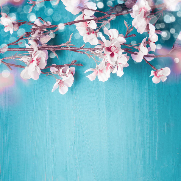 Beautiful spring cherry blossom branches on turquoise blue background with copy space for your design. Springtime holidays and nature concept - Foto, Imagen