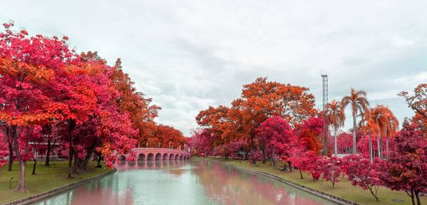 Otoño hojas coloridas árboles con rosa naranja y hoja amarilla en césped de hierba verde junto al lago y el puente bajo el cielo blanco nublado
 - Foto, imagen