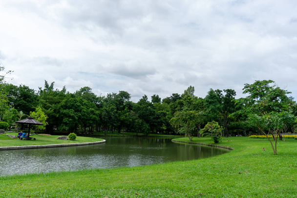 Kamu parkında küçük temiz bir göl, yeşillik ağaçları, çalılar ve çalılar, bakımlı bir manzarada yeşil çimenler, beyaz bulutların altında mavi gökyüzü - Fotoğraf, Görsel