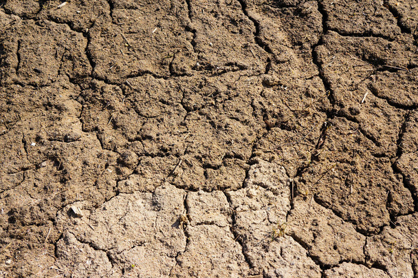 Szárított repedt föld talaj textúra háttér. Napfényes, szárított talaj mozaik mintázata - Fotó, kép