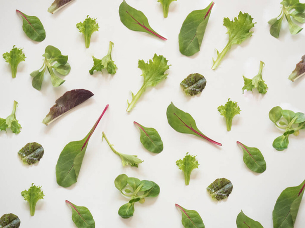 Modello di verdure su sfondo bianco
 - Foto, immagini