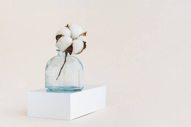 Beautiful white cotton flower in blue vase with copy space. Minimal monochrome creative picture. Holiday cconcept. - Photo, Image