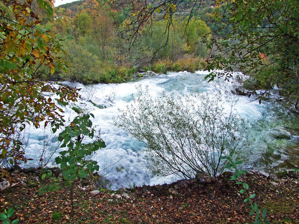 Plitvice Lakes Ulusal Parkı 'nın aşağısındaki Korana Nehri üzerindeki ilk şelale - Hırvatistan (Prvi slapovi na rijeci Korani, podno nacionalnog parka Plitvicka jezera - Hrvatska) - Fotoğraf, Görsel