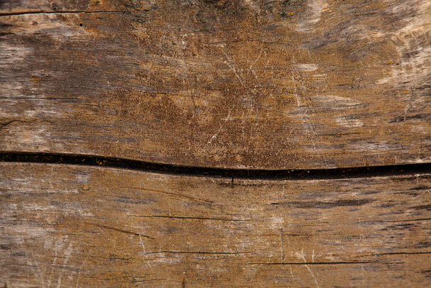 Textur aus natürlichem Holz, Bild für Hintergrund - Foto, Bild