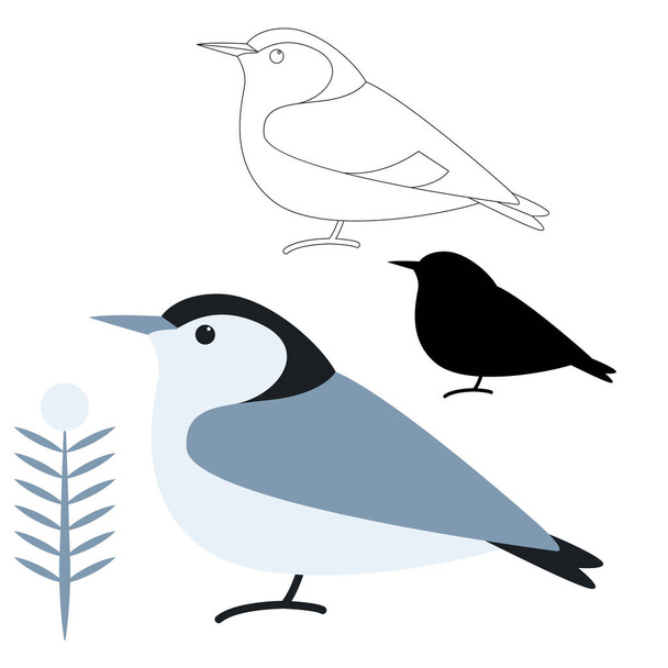 witte borst nuthatch Noord-Amerikaanse vogel, flat style, set - Vector, afbeelding