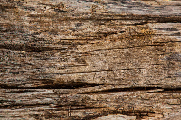 Tekstura naturalnego kawałka drewna, obraz na tle - Zdjęcie, obraz
