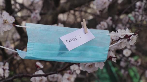 uma máscara médica ea palavra pausa em uma folha branca pendurar nas filiais de damascos floridos em quarentena em 2020 na Ucrânia
 - Filmagem, Vídeo