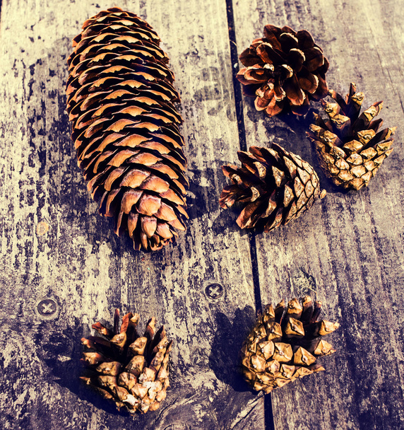 Pile of brown pine cones on wooden table - 写真・画像