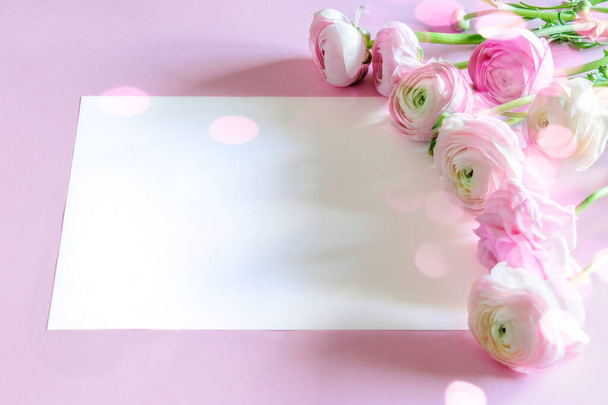 Boeket van tender ranunculus of boterbloem op de roze achtergrond, omlijst witte ruimte voor tekst. Mooie wenskaart met moederdag, vrouwendag, Valentijnsdag of Pasen.  - Foto, afbeelding