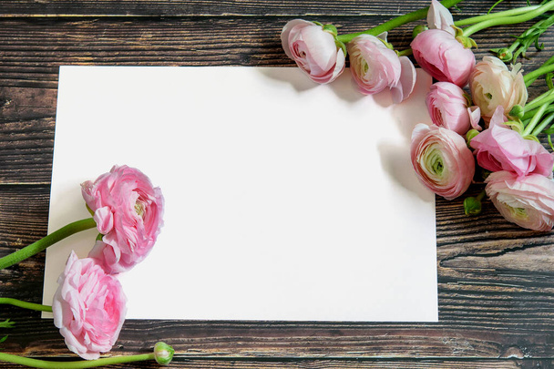 Букет ніжного рунункула або баклажана на рожевому тлі, обрамлений білим простором для тексту. Приємна листівка з днем матері, жіночим днем, днем валентинки або Великоднем
.  - Фото, зображення
