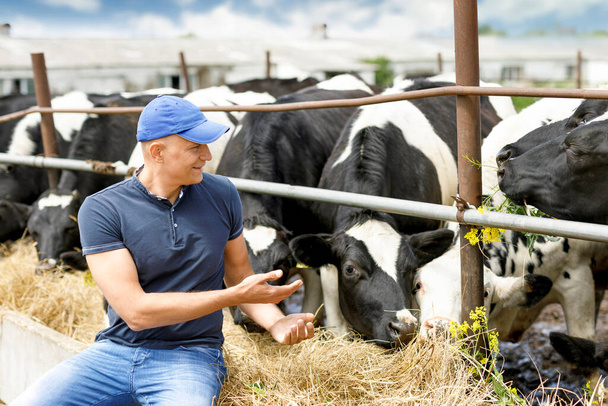 portret pozytywnego rolnika z krową na ranczu - Zdjęcie, obraz