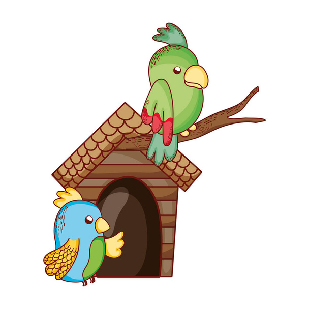 cute animals, green and blue parrots in branch cartoon - Vector, afbeelding