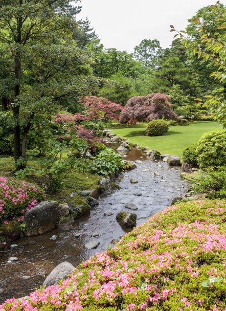 fragment van een Japanse tuin met stream, roze bloemen en acer - Foto, afbeelding