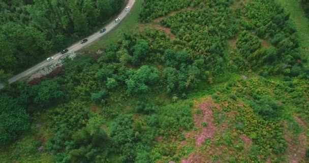 A column of cars are driving along the freeway amidst a dense forest. - Footage, Video