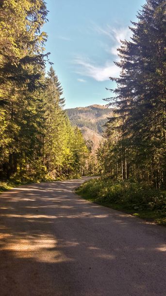 Asfaltová cesta v horách se zelenými stromy a modrou oblohou. Cesta do Morskie Oko v Tatrách v Polsku. - Fotografie, Obrázek