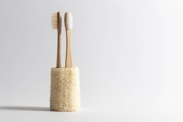 Two toothbrushes made of natural wood are turned away from each other inserted into a natural ecological loofah. on white background. - 写真・画像