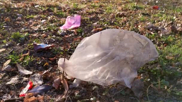 Zblízka špinavé opotřebované plastové tašky hodil na trávu. - Záběry, video