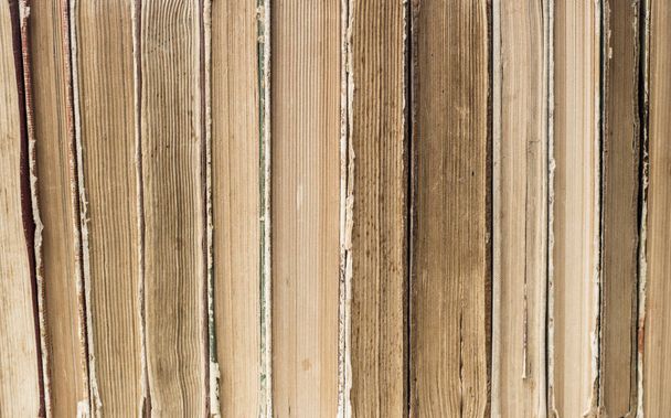Old worn brown books in a row, light background. - Φωτογραφία, εικόνα