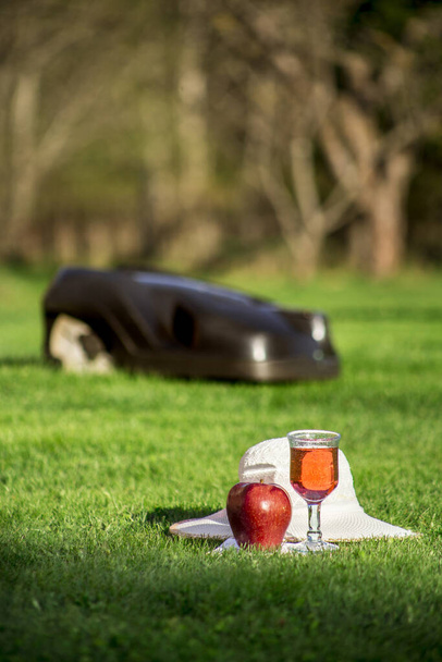Nauti vapaa-ajasta puutarhassa, kun automaattinen ruohonleikkuri leikkaa nurmikon konseptin, keskittyy lasiin, kirjaan, omenaan ja kesähattuun. Enemmän vapaa-aikaa käsite
. - Valokuva, kuva