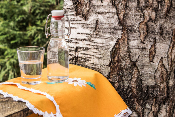 Baharda, huş ağacının arka planında cam bir şişede özsuyu çıkarılmış. Betula. - Fotoğraf, Görsel